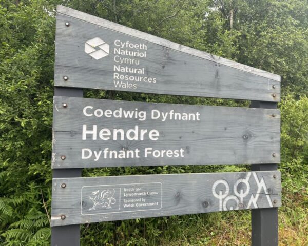 Hendre1